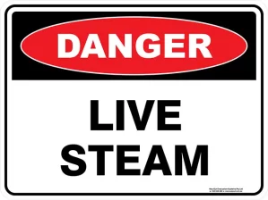 Danger Live Steam