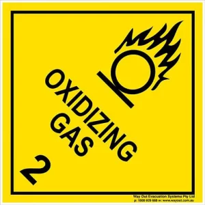 Oxidizing Gas 2